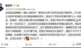 最新跟踪爆料视频大全,揭秘热点事件背后的真相